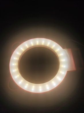 Кольцевая светодиодная лампа с ушками (черная) MiC