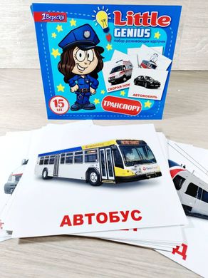 Набор детских карточек Транспорт 15 шт в наборе (рус) код: 951295