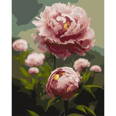 Картина по номерах "Піони - квіти весни" 40x50 см