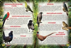 Книга "Иллюстрированный атлас живой природы" (укр) MiC Украина