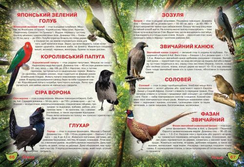 Книга "Иллюстрированный атлас живой природы" (укр) MiC Украина