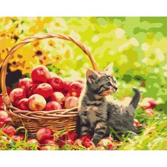 Картина за номерами "Яблучний котик" ★★★