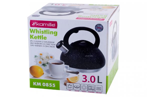 Чайник нержавіючий Kamille - 3 л 0855 (0855)